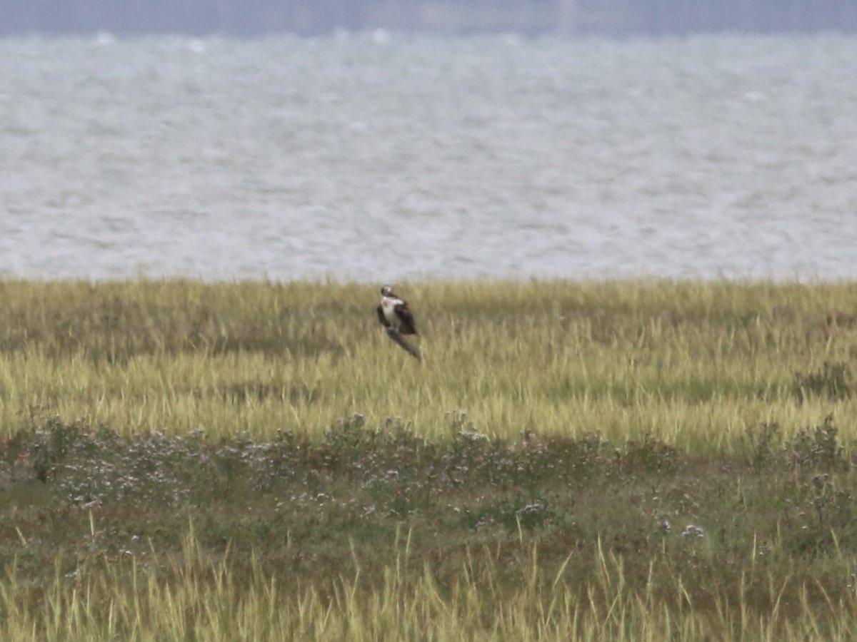 John McNally tweet media