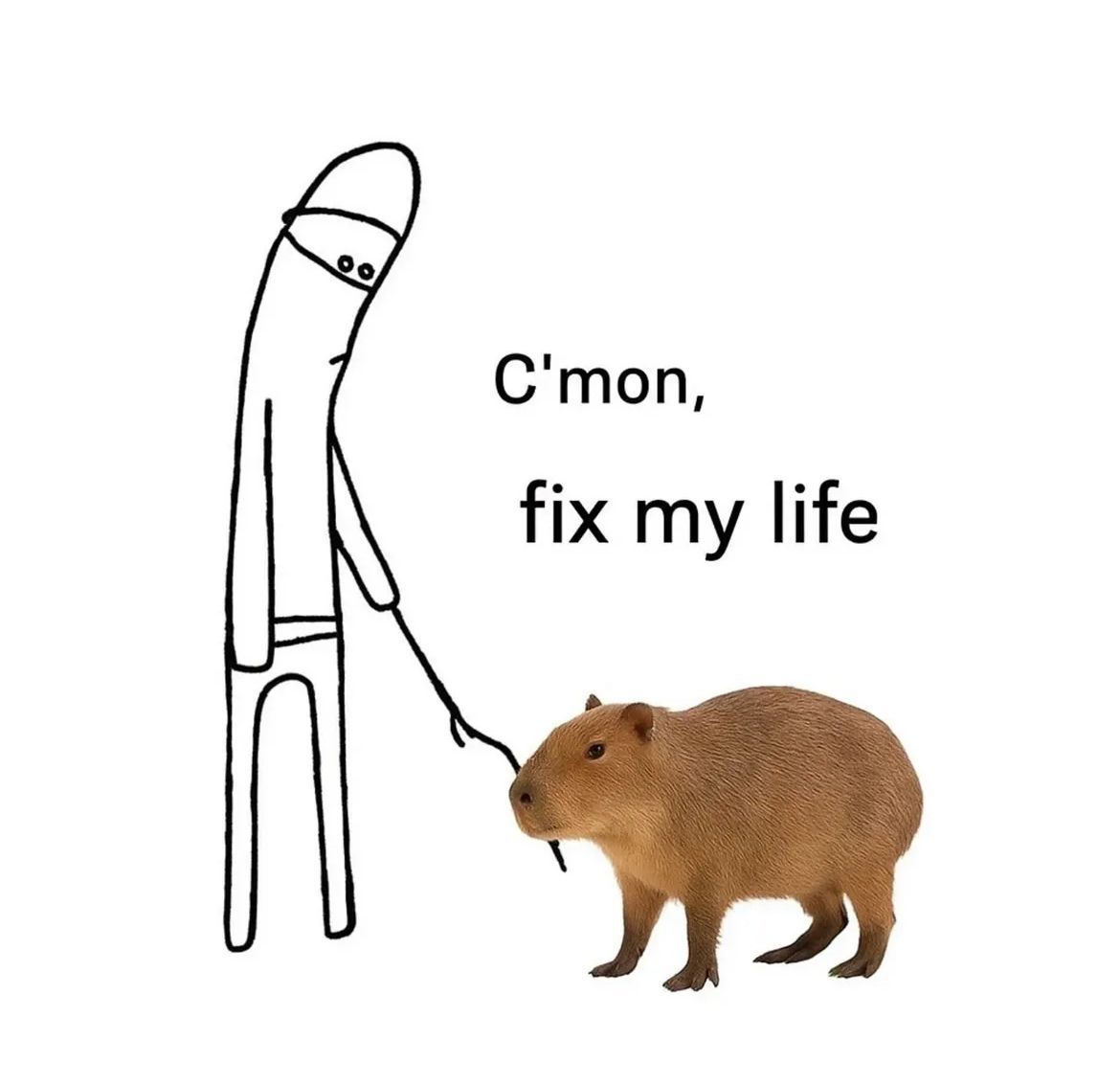CapybaraCountry's tweet image. 