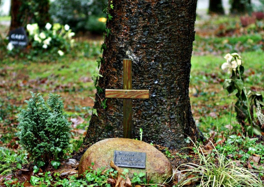 Celestis Memorial Spaceflights tweet media