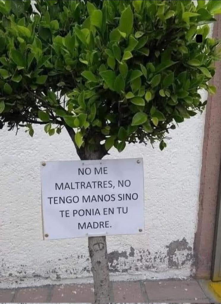 Buen día gente bonita de X-Twitter