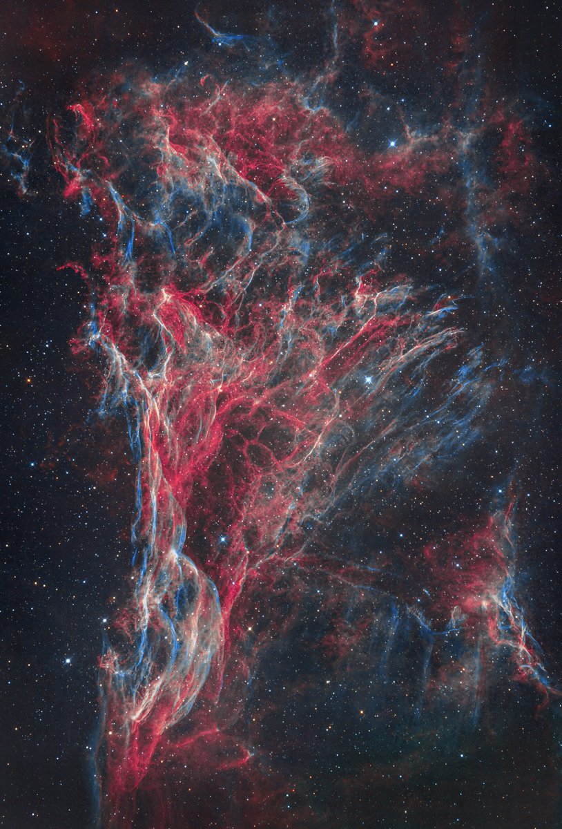SUPERNOVA（超新星） ジヒョク デザイン リング 13号 ぴんたん on X: