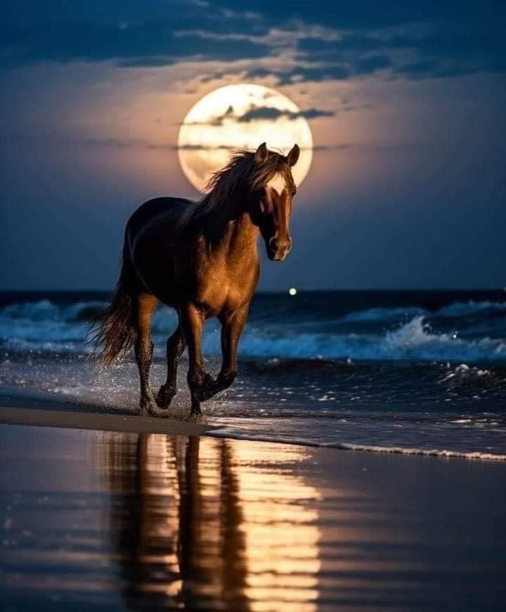 Nature Beauty (@naturebeautyh) on Twitter photo 