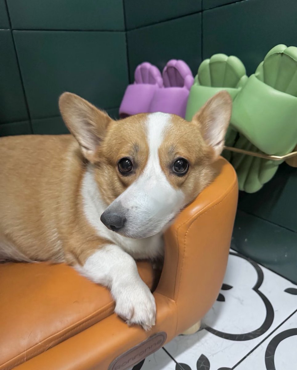 서허풍 (@stw760101) on Twitter photo 