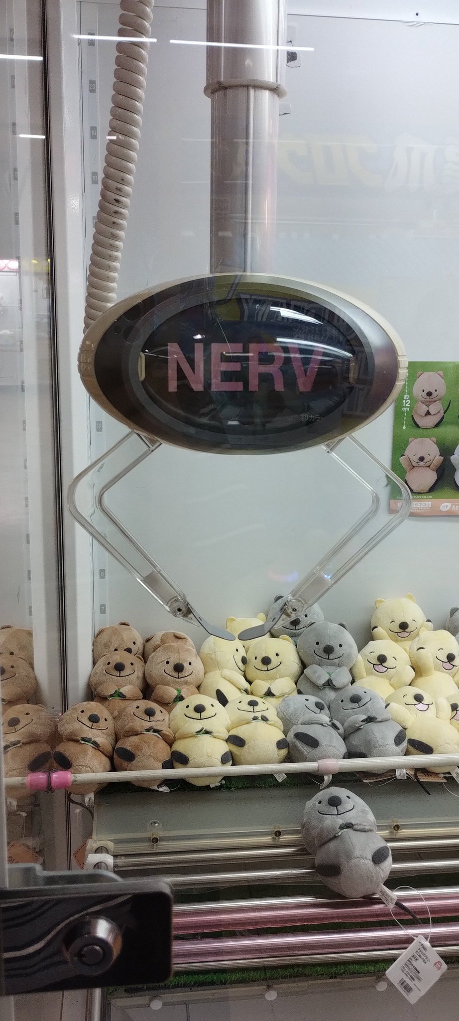 透明のだいだい on X: 