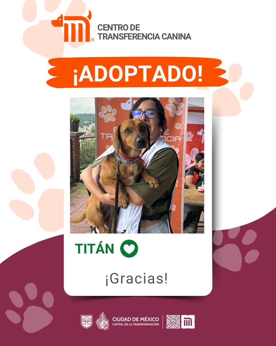 En el #CTCDelMetro celebramos cada historia de adopción como un nuevo comienzo. Hoy, queremos agradecer profundamente a la familia Valencia Robles, por darle la oportunidad a Titán de vivir acompañado de amor y alegria.🐶🏠✨

#AdoptaNoCompres #AUnMetroDeSuHogar