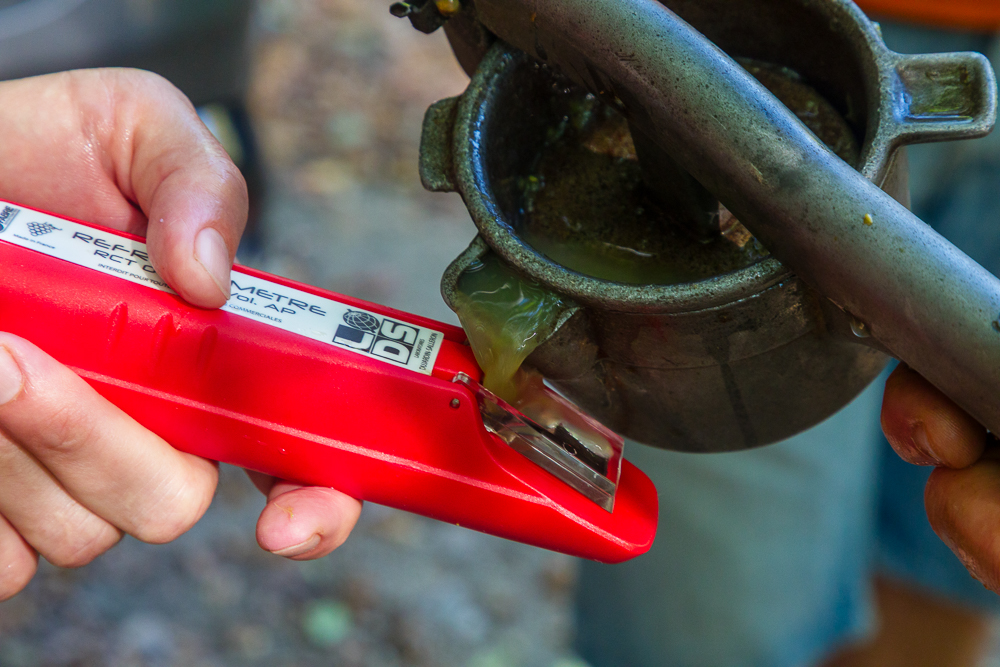 [VENDANGES / HARVEST 2025] Prélèvements d'échantillons et contrôle des maturités 🤩 Sampling and maturity checkings 🍇 #familleguigal #domaineguigal #condrieu #vendanges #vendanges2025  📷Stéphane Chalaye Photographie