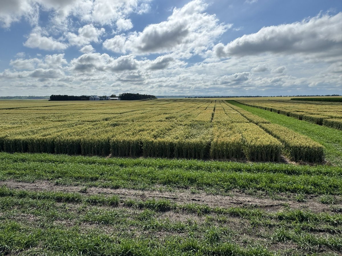 FrontierGen's tweet photo. Tuesday was our last day in the field, 2025 is in the books.  We’ll take a little R&amp;R and hit post harvest processing and data analysis hard next week. https://t.co/K53Vn3qh86