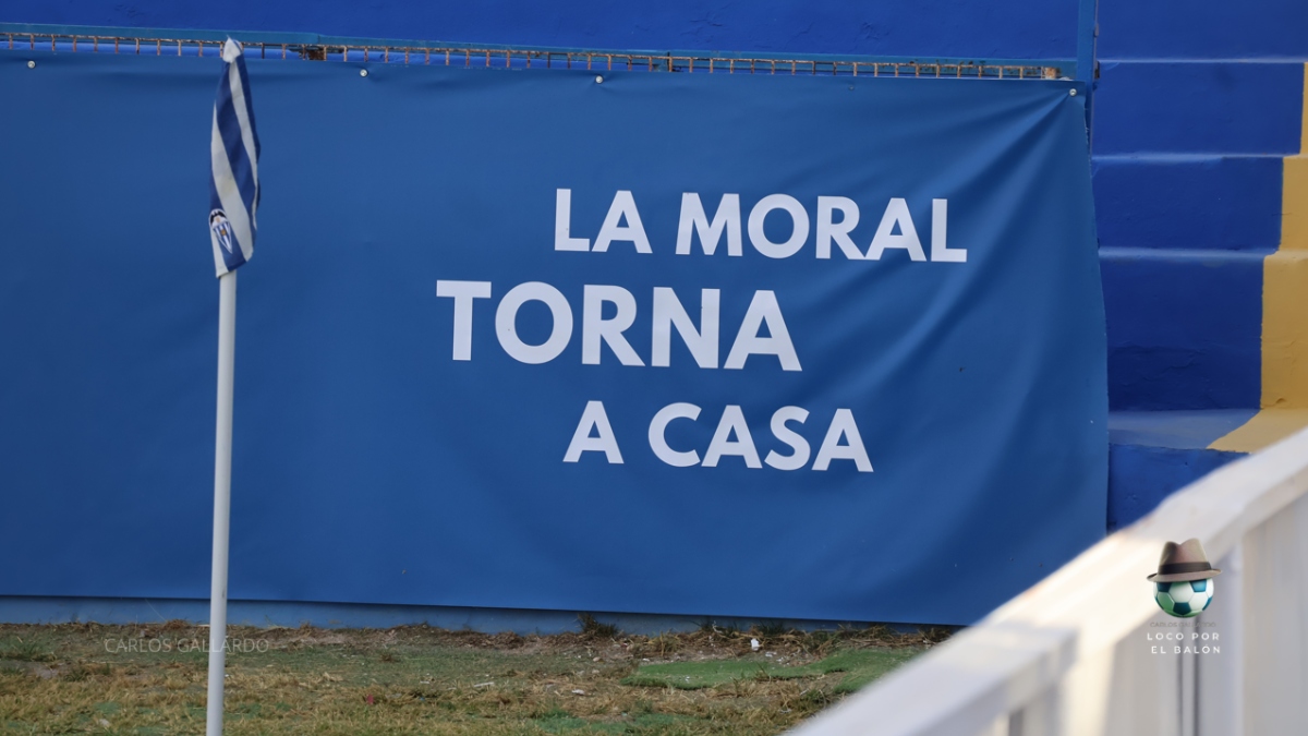 🔵⚪ 𝐂𝐃 𝐀𝐋𝐂𝐎𝐘𝐀𝐍𝐎 2025-26

⚽ El <a href="/CD_Alcoyano/">CD Alcoyano SAD</a>  inicia nueva etapa donde "la moral torna a casa". Fran Alcoy es el míster, y regresos en su plantilla: Raúl González, Pablo Carbonell, Lado, Víctor Sala, además de apostar por jugadores de provincia #SegundaFederacion