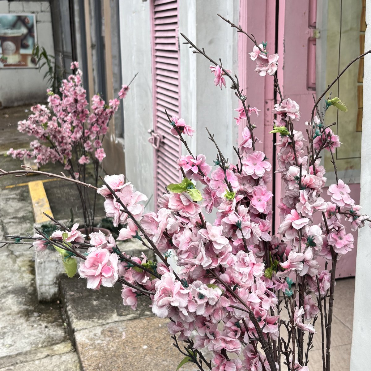 studyselle's tweet image. visited the cafe across my internship site today 🌸☀️