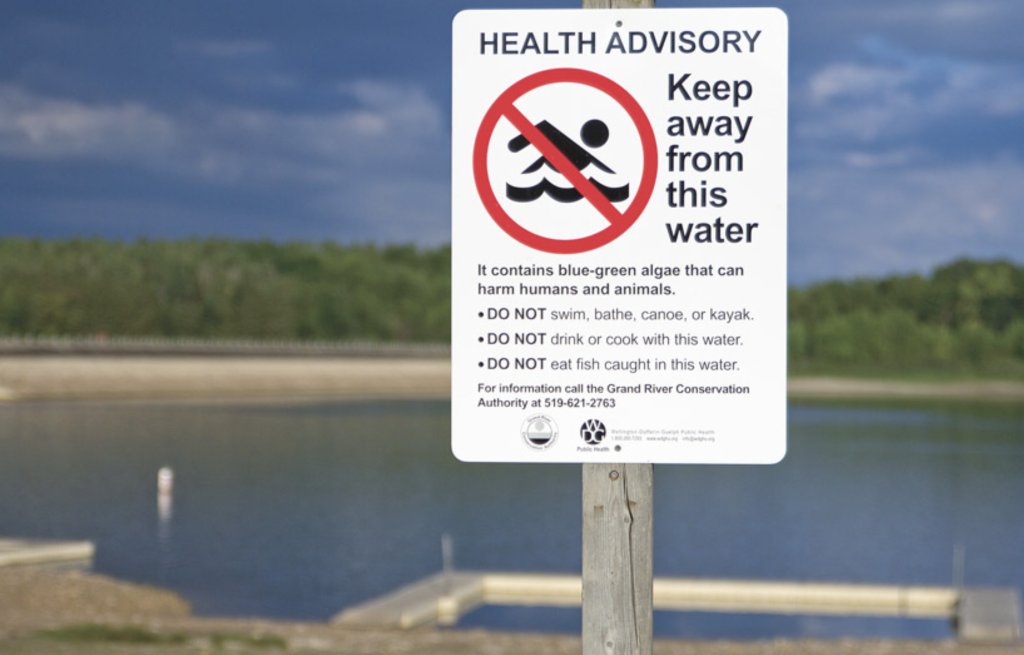 The beach at the Belwood Lake Conservation Area, part of a one-acre spring-fed quarry, has been closed due to the presence of blue-green algae. ow.ly/ZnQJ50WNBp4