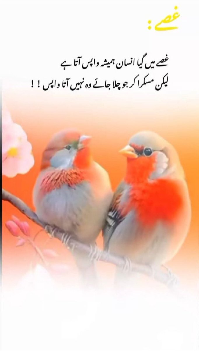 💗  Good night💗

           💝   شب بخیر۔💝
