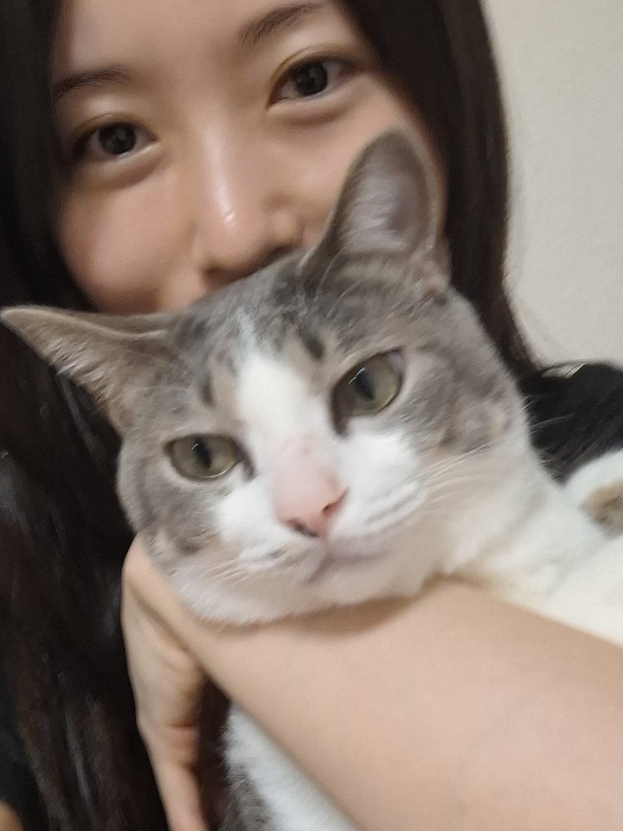 どう見ても過去より今が楽しそうなのが本当に嬉しい！
乃木坂時代を知らないファンが増えてる事もとっても誇らしい。
軍団親衛隊の祝日2日目、間も無く終わります。

 #佐々木琴子生誕祭2025