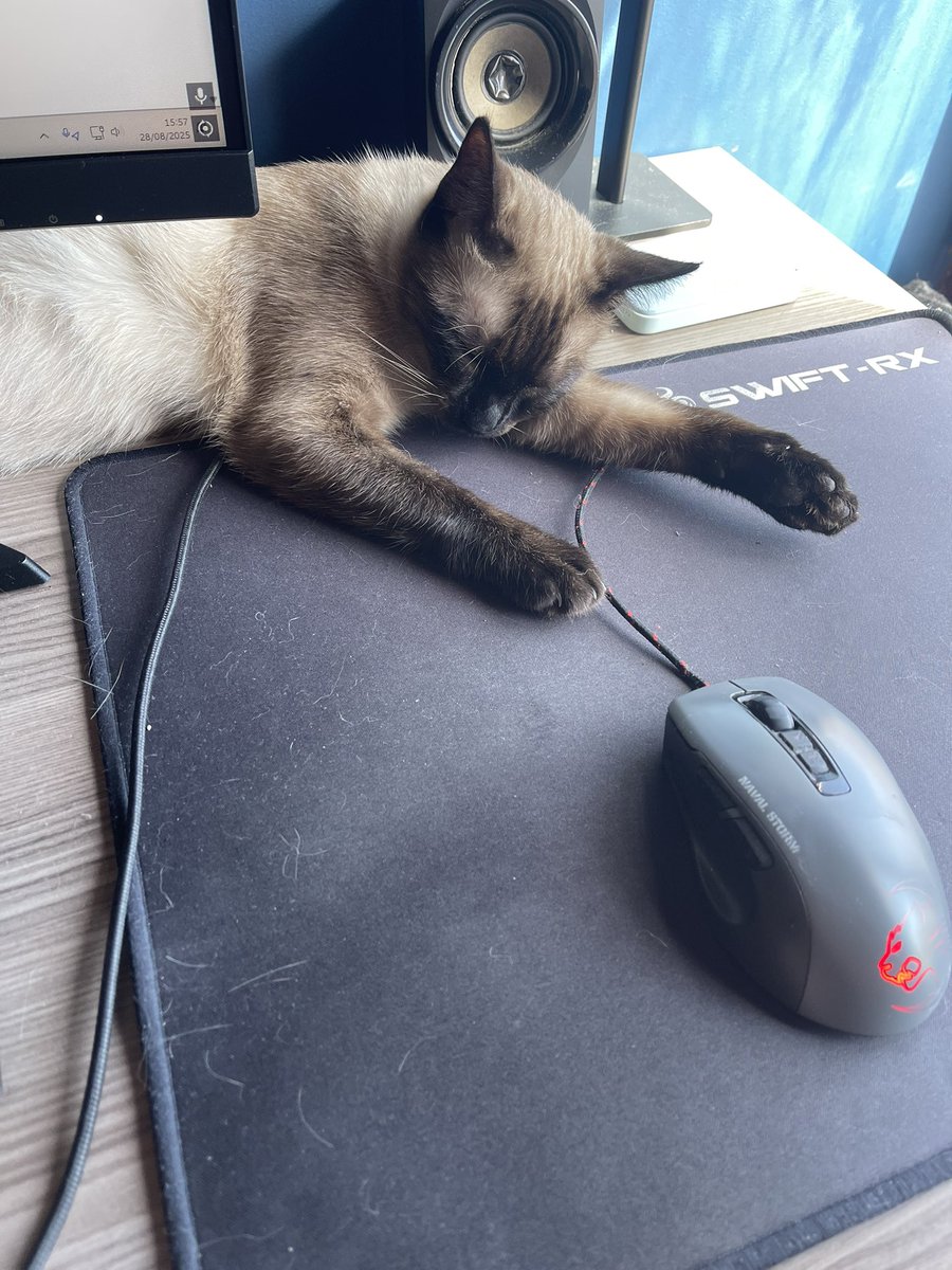 Alguém me recomende periféricos wireless