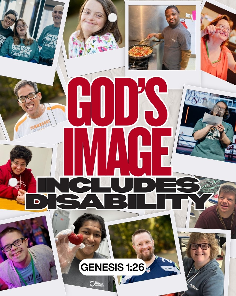 Ryan Wolfe tweet media