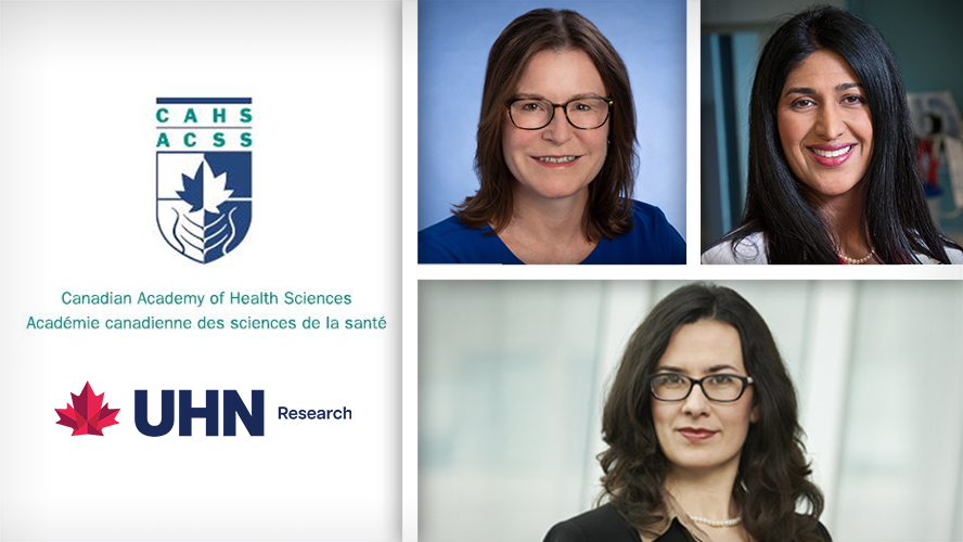 UHN Research tweet media