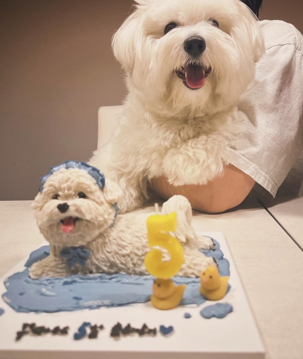오늘은 꾸마 생일🤍 
벌써 6살이라니🥹🥹🥹🥹🥹 
꾸마야 생일축하해
건강하게 오래오래 아빠랑 함께 행복하쟈