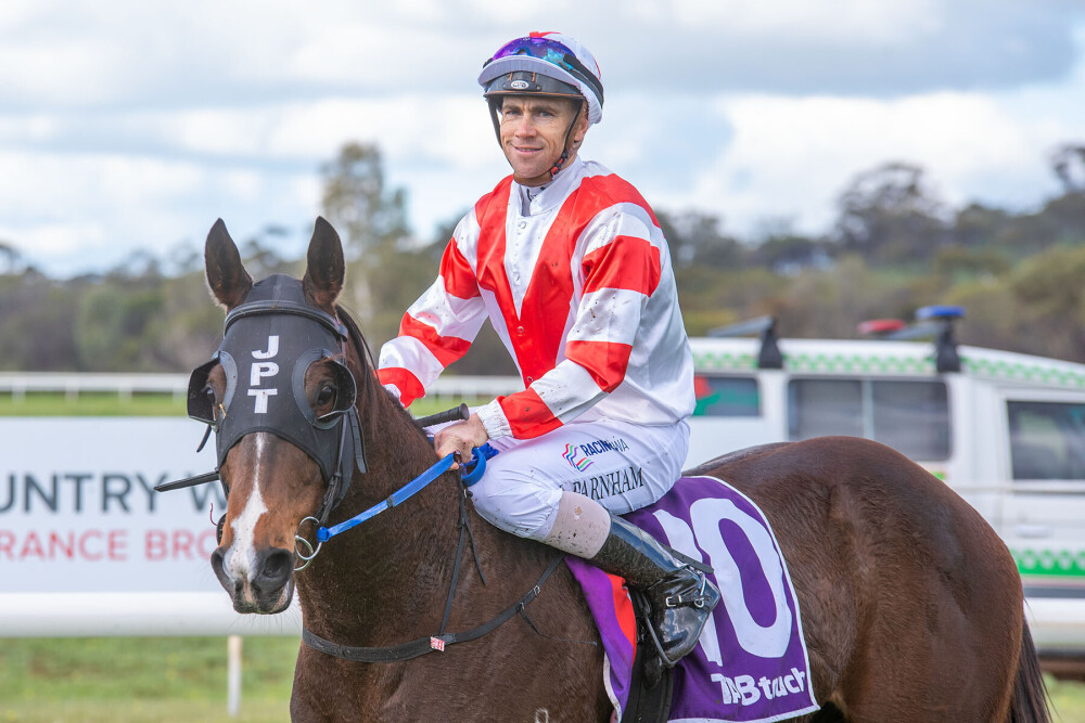 RacingWA_Tbreds's tweet image. Jim Taylor: "We think he goes pretty good."
Steven Parnham: "He's above average this horse."
Big raps on the win of Swingman
racingwa.com.au/news/2025/08/2… @santassnippets @tabtouch @westernracepix