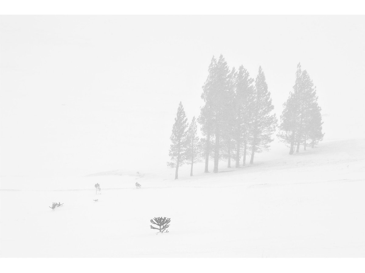 Otoño 2024 en la Araucanía.
Sí, leíste bien. Otoño.

O al menos eso era lo que esperaba encontrar durante ese viaje en el que, por una semana completa, el clima no dio tregua y las nevazones se anticiparon.

Había dos opciones: o me adaptaba, o volvía muy frustrado a casa.