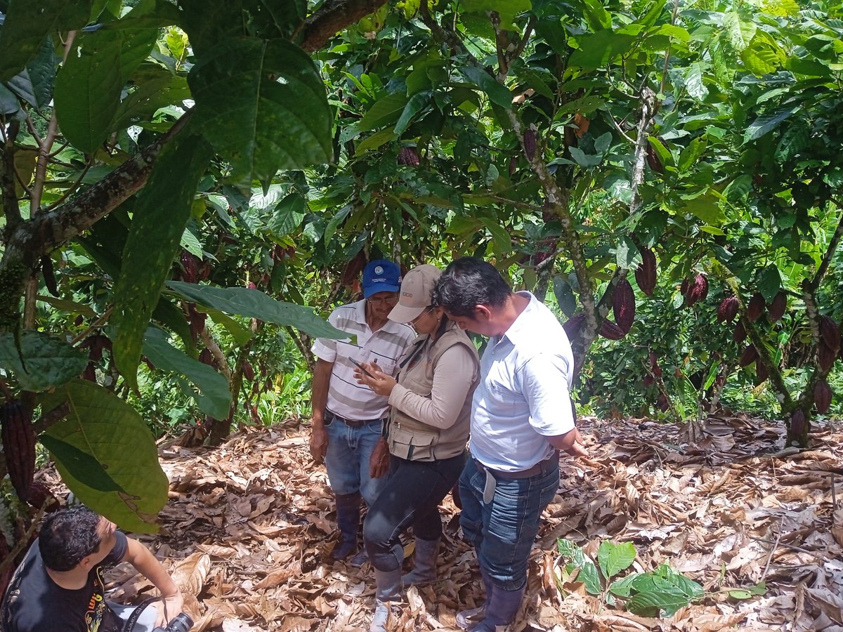 Neptali1309's tweet image. @dimitratech Mosoq Ruwaykuna!! (Quechua) .Perú. New way of doing things in the field.With Dimitra Technology we have the opportunity for a new approach to our agriculture. with small farmers to achieve their goals.#DimitraTech #$DMTR hashtag#DMTRTeam