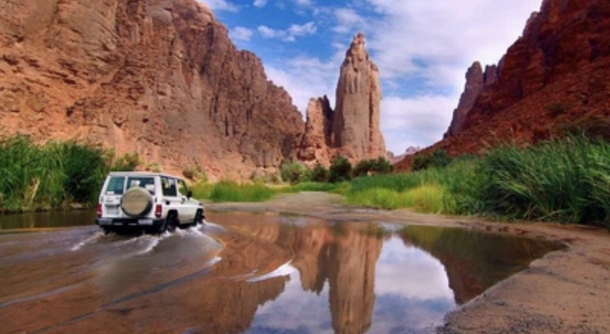 الآن مع بداية اعتدال الاجواء وقرب بداية طلعات البر لابد من اتخاذ الاحتياطات اللازمة والضرورية سواء للكشتات او للقنص والصيد 
١- يستحب عند دخول الأماكن الخالية سواء صحراء او شعبان او ضلعان قراءة الأوراد والاستعياذ بالله من الشياطين والثعابين والعقارب 
٢- حمل السلاح المرخص للحماية