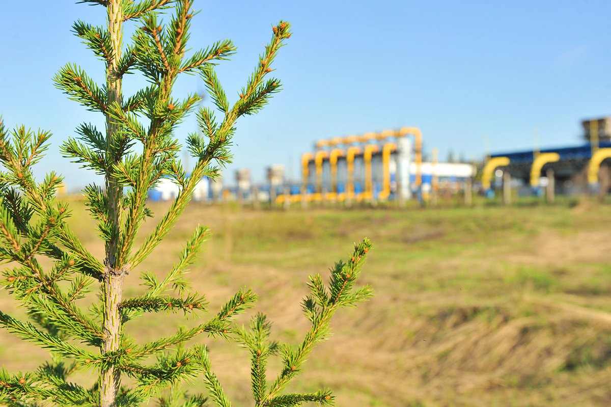 Voice for Energy tweet media