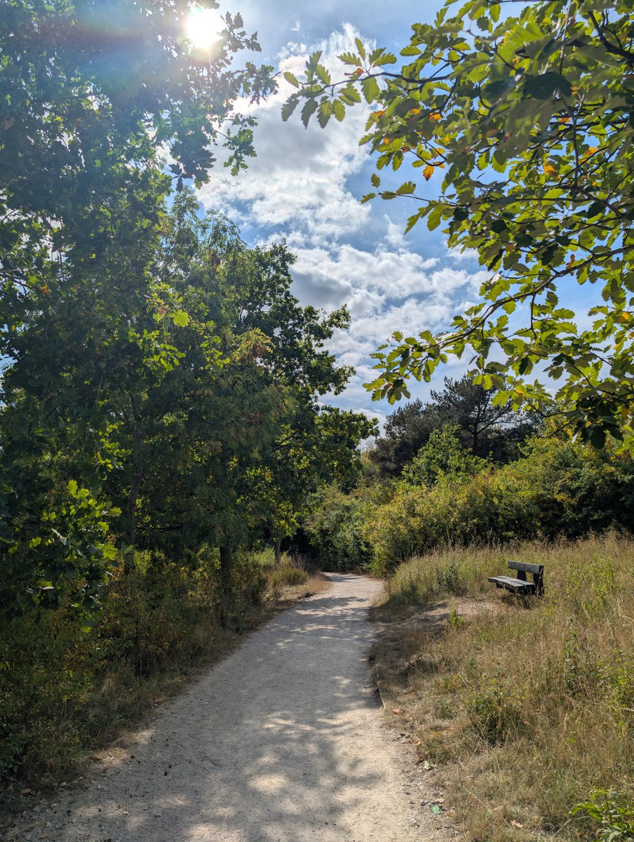 What's on this September at RSPB Sandwell 🤩 Refresh, enjoy the wild and embrace the calm of late summer  🐦 Birdwatching for Beginners 🦇 Bat Walk &amp; Moth Night 🎶 <a href="/merlyndriver/">Merlyn Driver</a> – Live at RSPB Sandwell 👉 events.rspb.org.uk/sandwellvalley #rspbautumn #rspbsandwellvalley