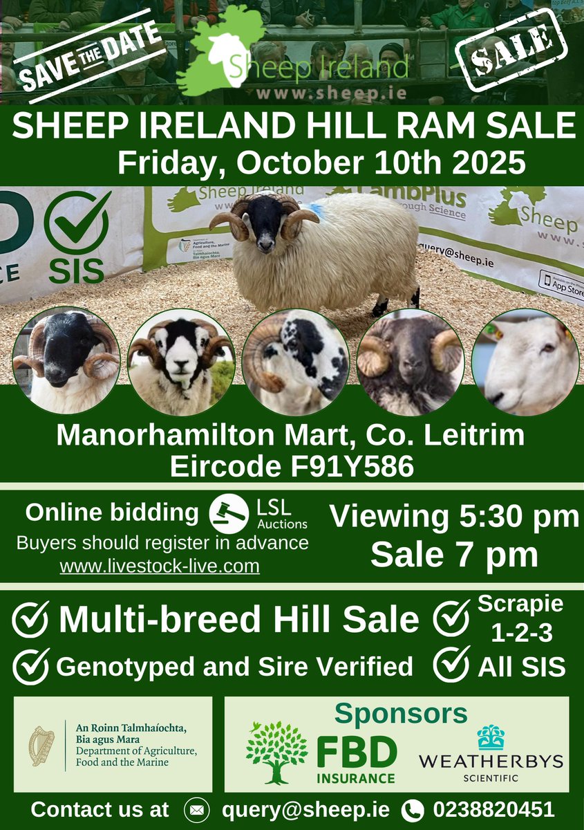 Sheep Ireland πππππ (@sheepireland) on Twitter photo π’Save the date! Sheep Ireland will host the second Hill Multi-breed Ram sale on Friday, 10th of October 2025 at 7 pm (Manorhamilton Mart, Co. Leitrim), with viewing starting at 5.30 pm. sheep.ie/sheep-irelandsβ¦ π’Save the date! Sheep Ireland will host the second Hill Multi-breed Ram sale on Friday, 10th of October 2025 at 7 pm (Manorhamilton Mart, Co. Leitrim), with viewing starting at 5.30 pm. sheep.ie/sheep-irelandsβ¦