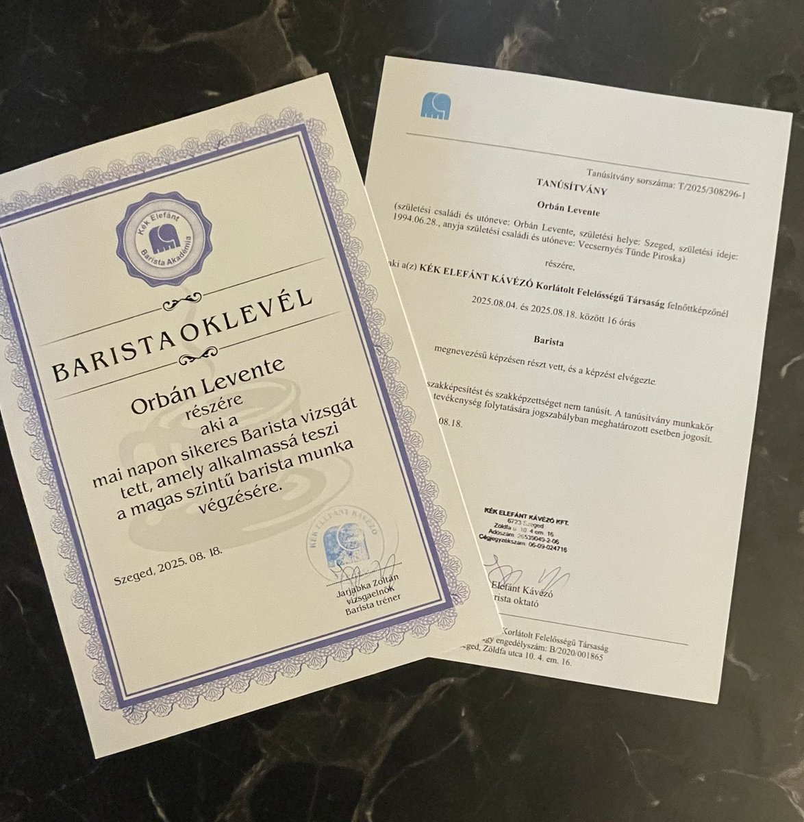 if ai will replace my job, im here to make you an avocado latte 🐢