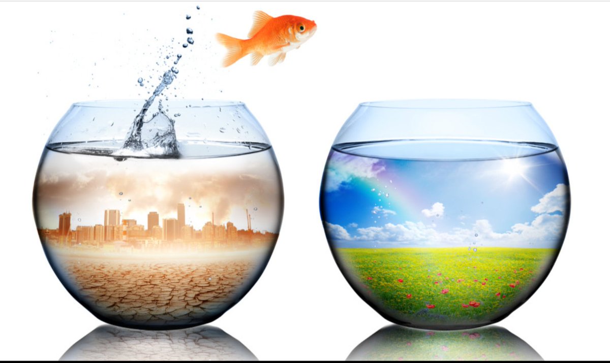 ⚠️ The biggest lie in medicine: That germs control your health

You were told the body is a battlefield.
That invisible invaders strike at random.
That drugs and vaccines are your only defence.

But the truth was buried:

It’s not the germ
It’s the terrain

The totality of your