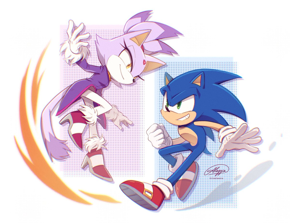 🔥🍃 #SonicTheHedgehog #blazethecat