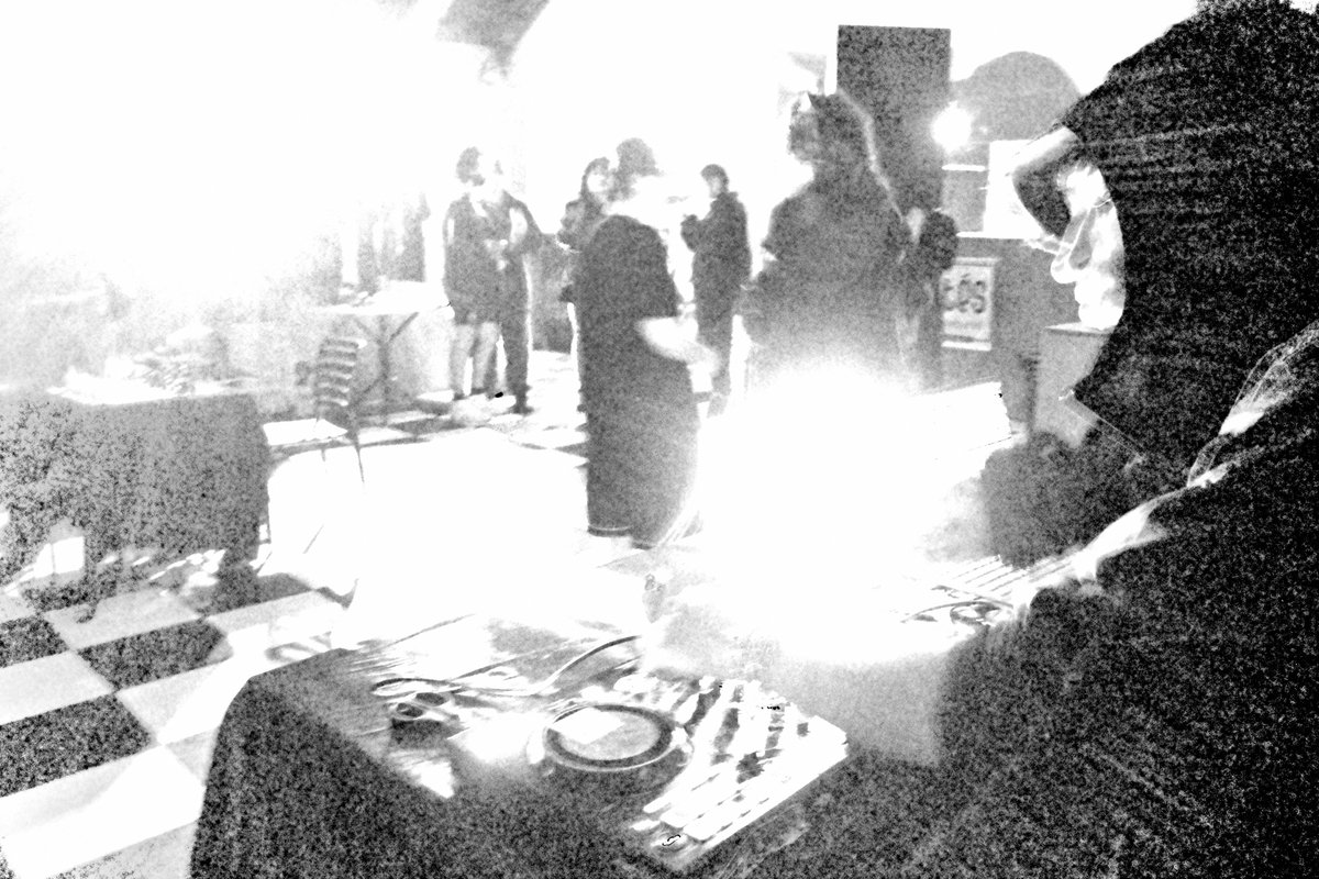 seed.computer tweet media
