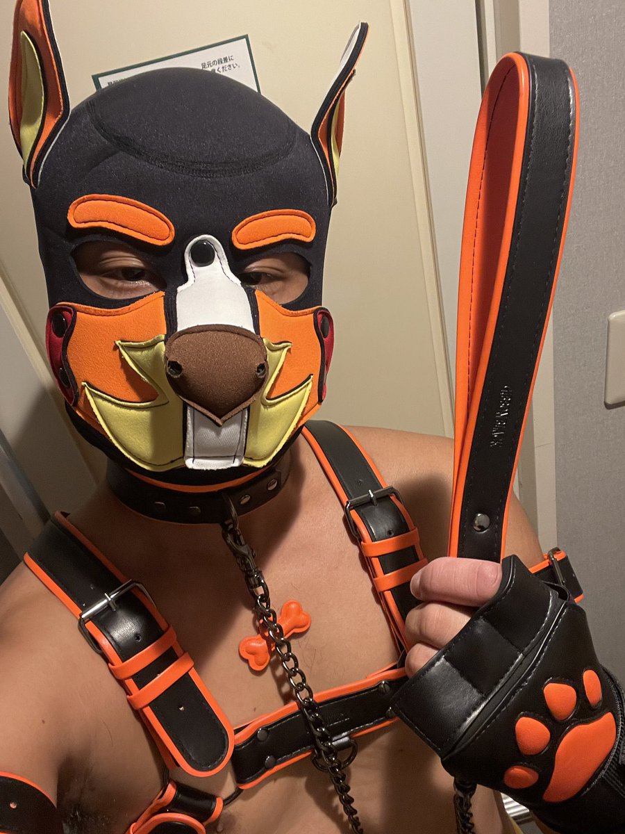 裏側
ついでにリード引く人いますか？
<a href="/Gibbon_Black/">GibbonBlack_CN</a>