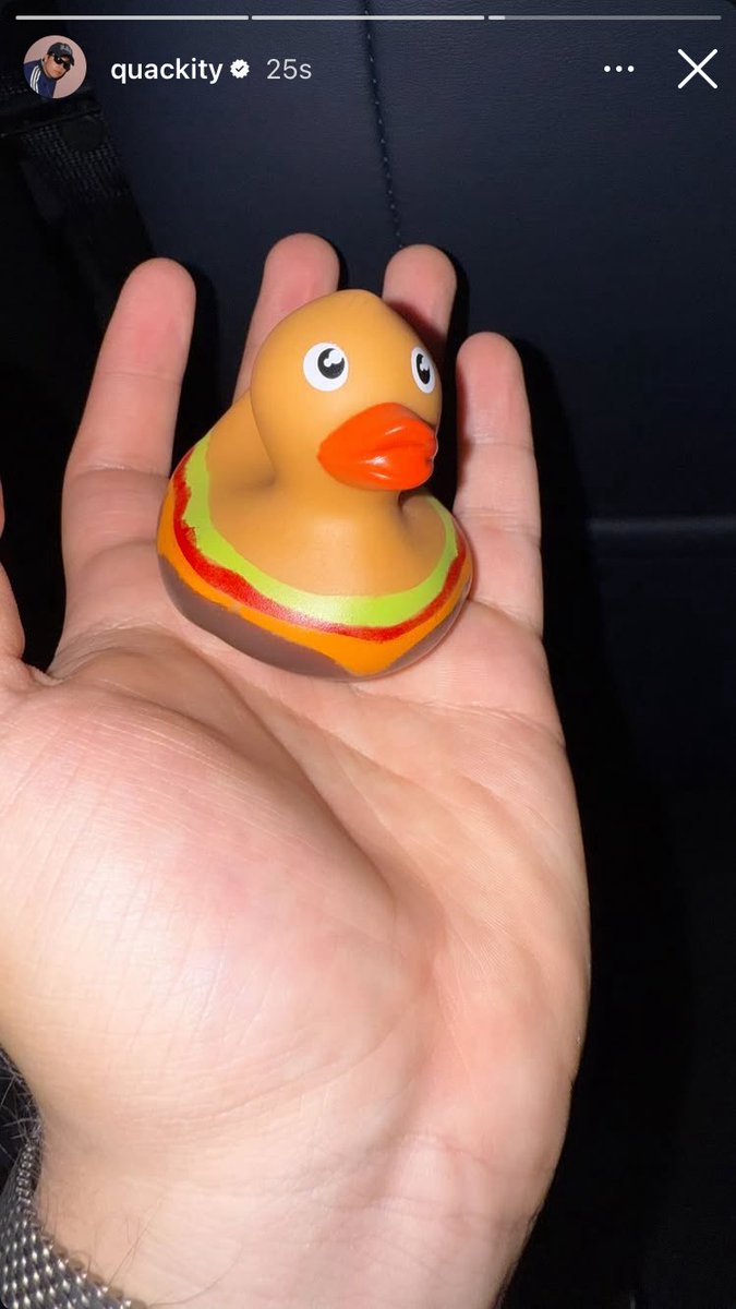 Quackity posted on his instagram story!