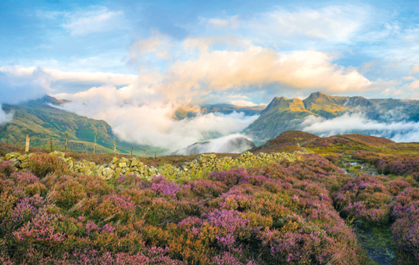Mist and fog over Lingmoor Fell. Situated west of Ambleside, the fell divides the valleys of Great and Little Langdale. The fell's name originates from the Old Norse word 'lyng' meaning 'heather-covered'.
Photo by Tranquillian
#photography #photography📷 #photography