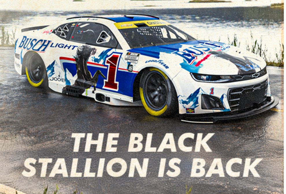 JoeInnella91's tweet photo. @BuschBeer #BuschBlackStallion
#Sweepstakes https://t.co/PMecBN09l9