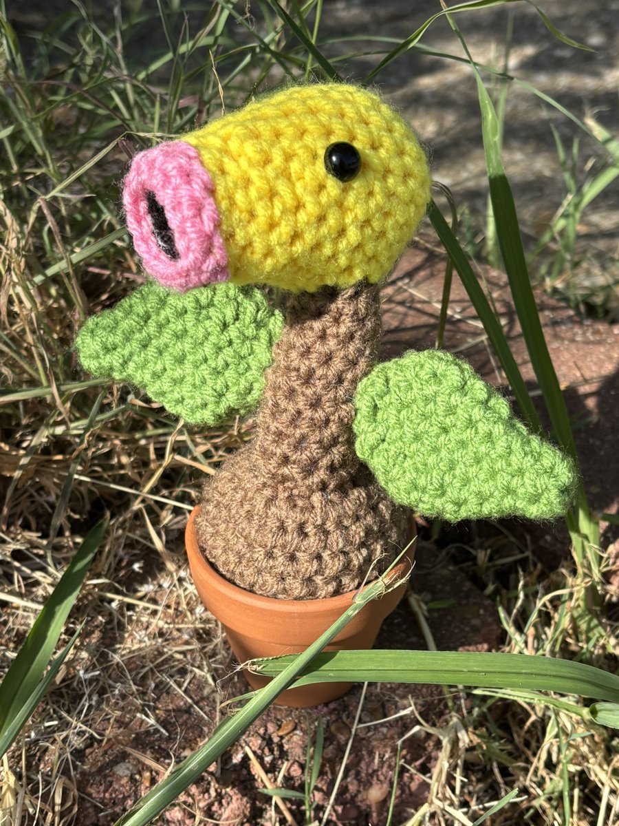 toriestangles's tweet image. A collection of pokemon I’ve made recently! #pokemon #PokemonLegendsZA