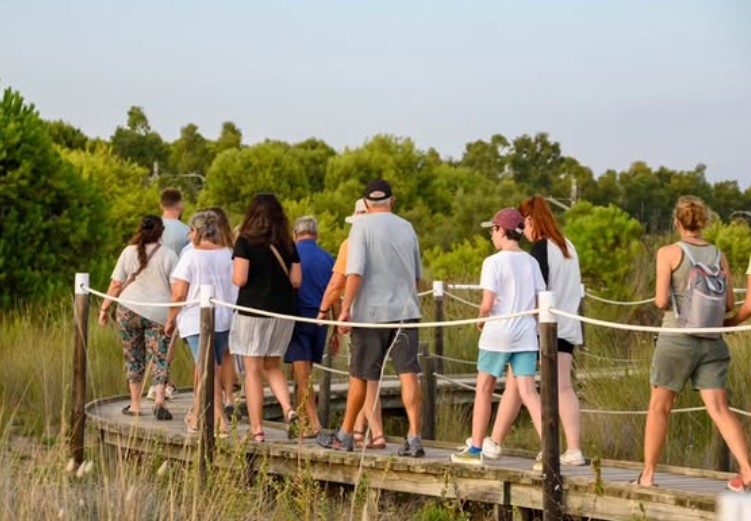 🌿🦆Tercera visita guiada de l'estiu al Sender Blau de #Torredembarra
🕖Es farà aquest dijous a les 7 de la tarda
➡️ona-latorre.cat/news/tercera-v…