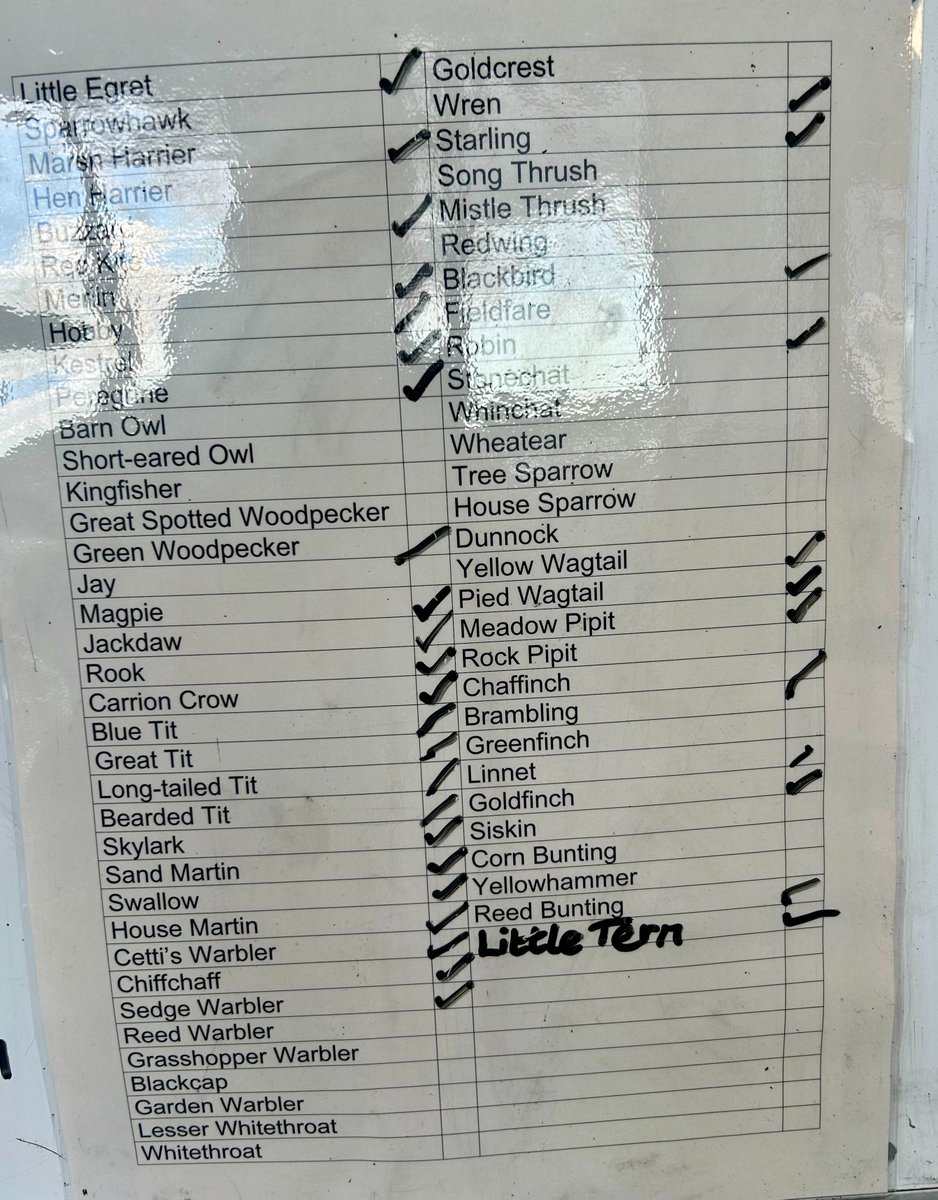 RSPB Frampton Marsh π (@rspbframpton) on Twitter photo A good tick list today with 74 species spotted by our visitors. Late this afternoon much needed rain fell onto the reserve, giving the waders an opportunity to search for food. Photo from the VC at 3.50pm. <a href="/Natures_Voice/">RSPB</a> <a href="/vikingoptical/">Viking Optical Ltd</a> <a href="/RareBirdAlertUK/">RareBirdAlertUK</a> A good tick list today with 74 species spotted by our visitors. Late this afternoon much needed rain fell onto the reserve, giving the waders an opportunity to search for food. Photo from the VC at 3.50pm. <a href="/Natures_Voice/">RSPB</a> <a href="/vikingoptical/">Viking Optical Ltd</a> <a href="/RareBirdAlertUK/">RareBirdAlertUK</a>