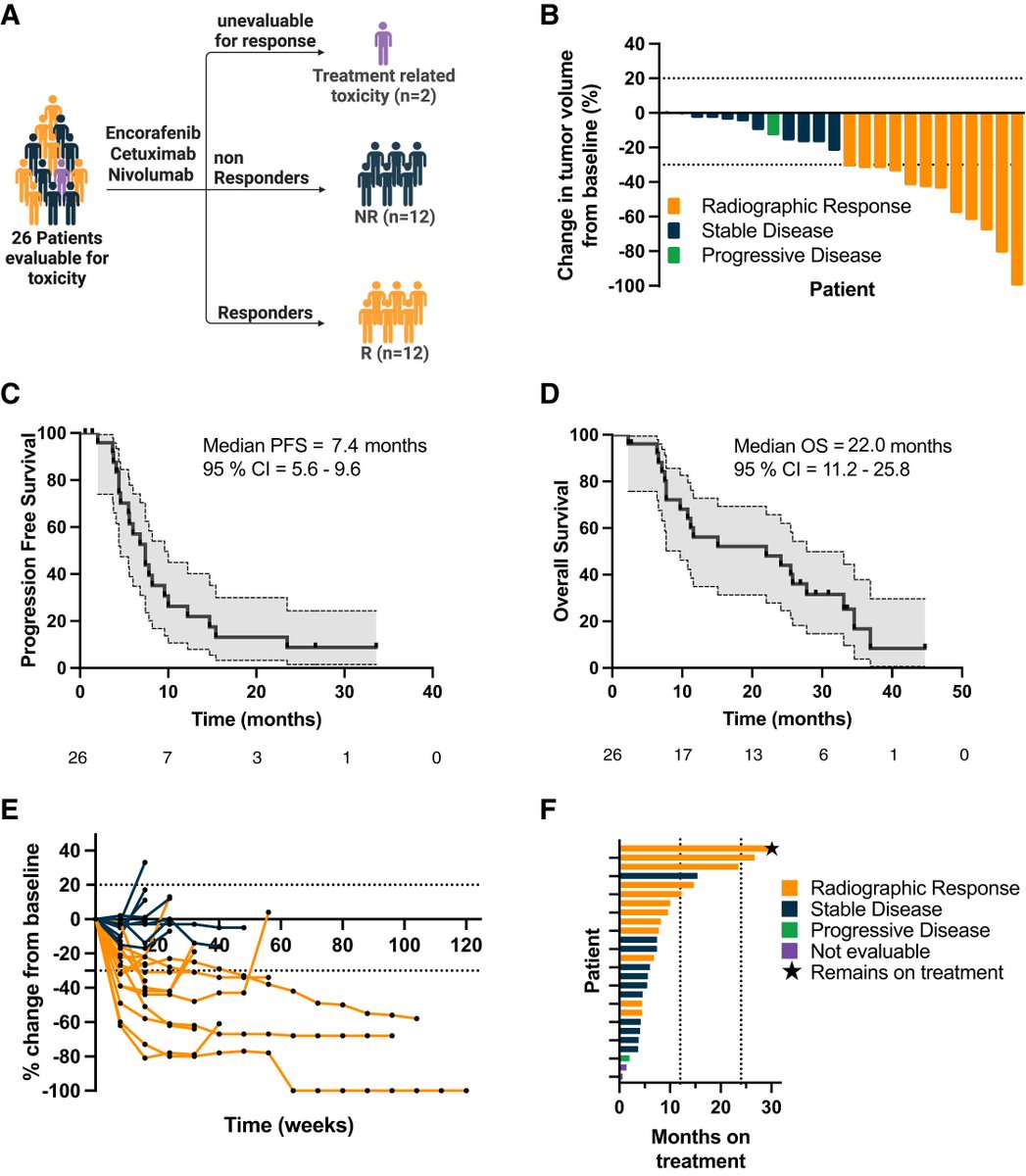 Aiims1742's tweet photo. Congratulations to @VanMorrisMD @MDAndersonNews for his new @Cancer_Cell study:
Phase 1/2 trial of encorafenib, cetuximab, and nivolumab in microsatellite stable BRAFV600E metastatic #ColorectalCancer
https://t.co/UhJTZcQhAc
Thanks for the opportunity to contribute to the study! https://t.co/pMV8WV4FGQ