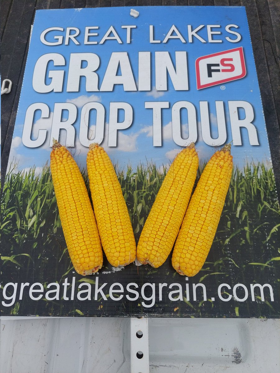 heather miller tweet media