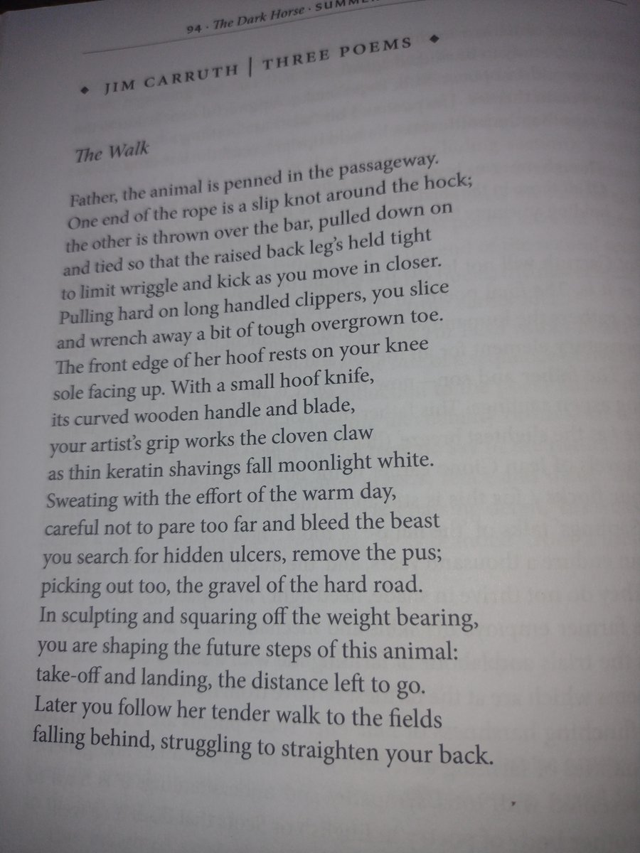 Excellent piece by Jim Carruth <a href="/jim08218867/">Jim Carruth</a>