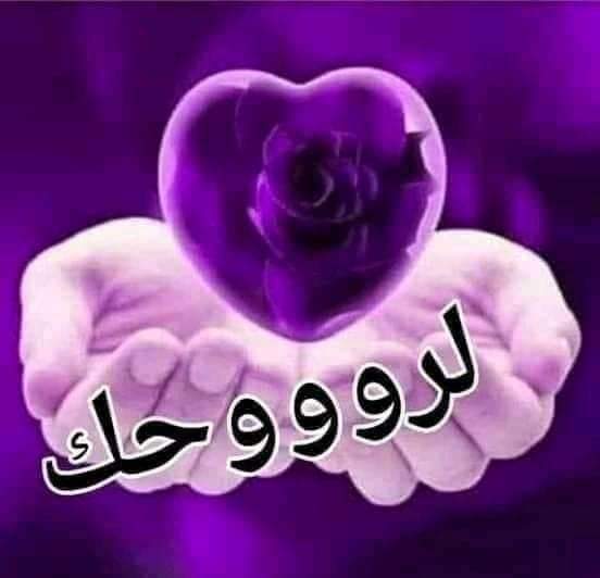 krymkry99742004's tweet photo. @HOOR_9909 https://t.co/MpMzEuUTYP