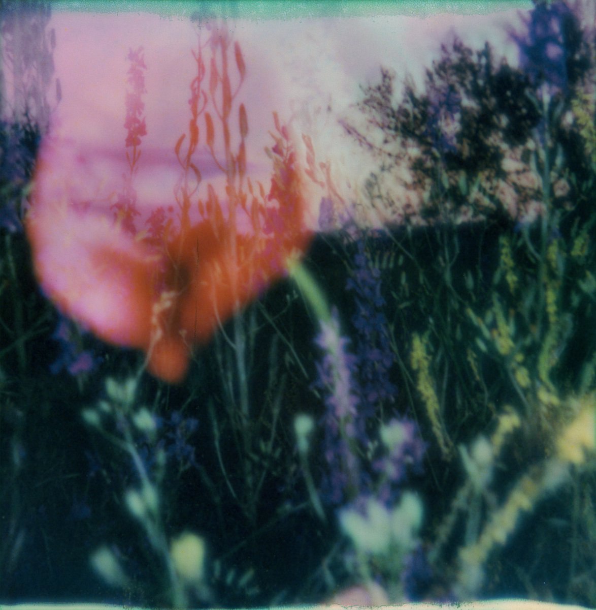 minmin💫 tweet media