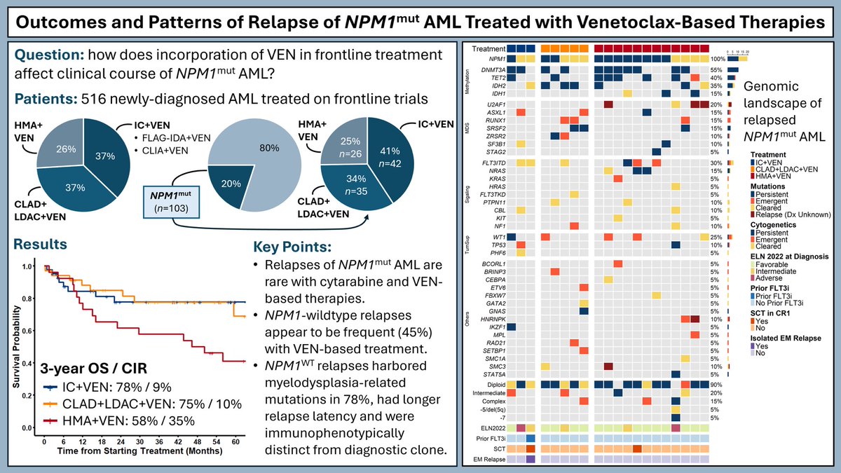 We report incidence of NPM1-wildtype relapses in pts treated with VEN-based frontline tx in AML. 
 🔴Overall,  absolute # of relapses in NPM1 AML after VEN is ⬇️
 🔴the fraction of NPM1-wildtype relapses ⬆️ with the⬆️ intensity of chemo  backbone added to VEN.
 🔴 NPM1 wildtype