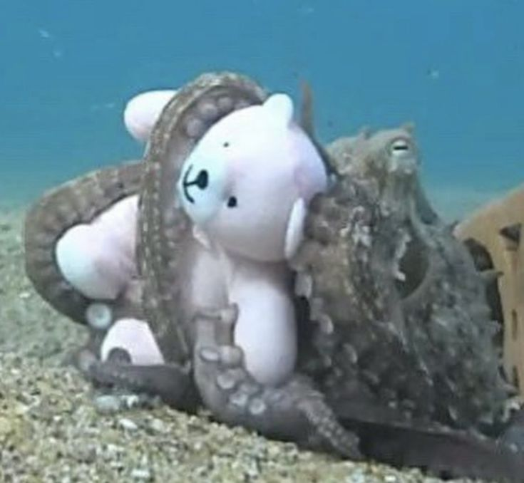 También tengo ansiedad...