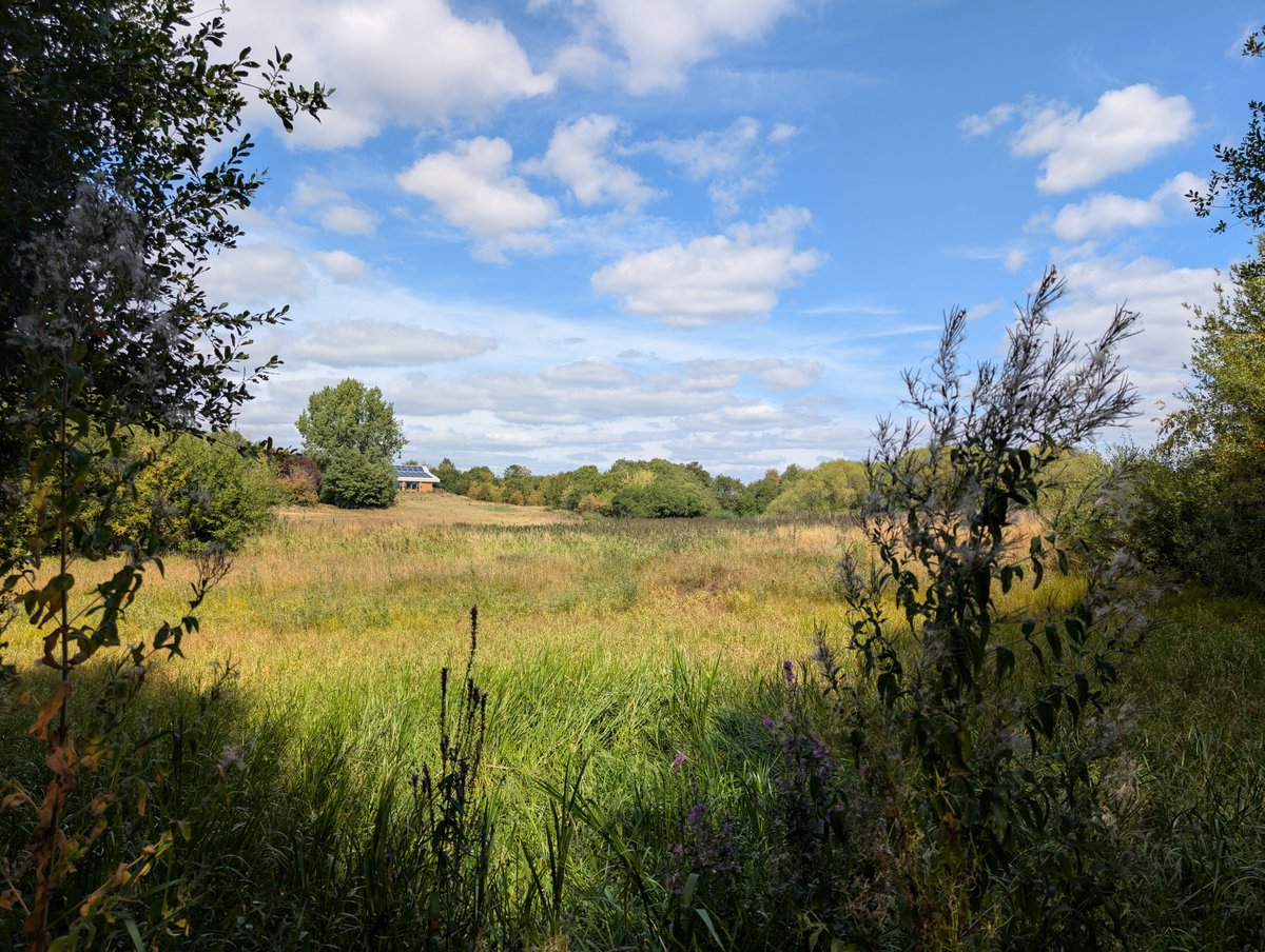 Hello September ☀🌳🍂