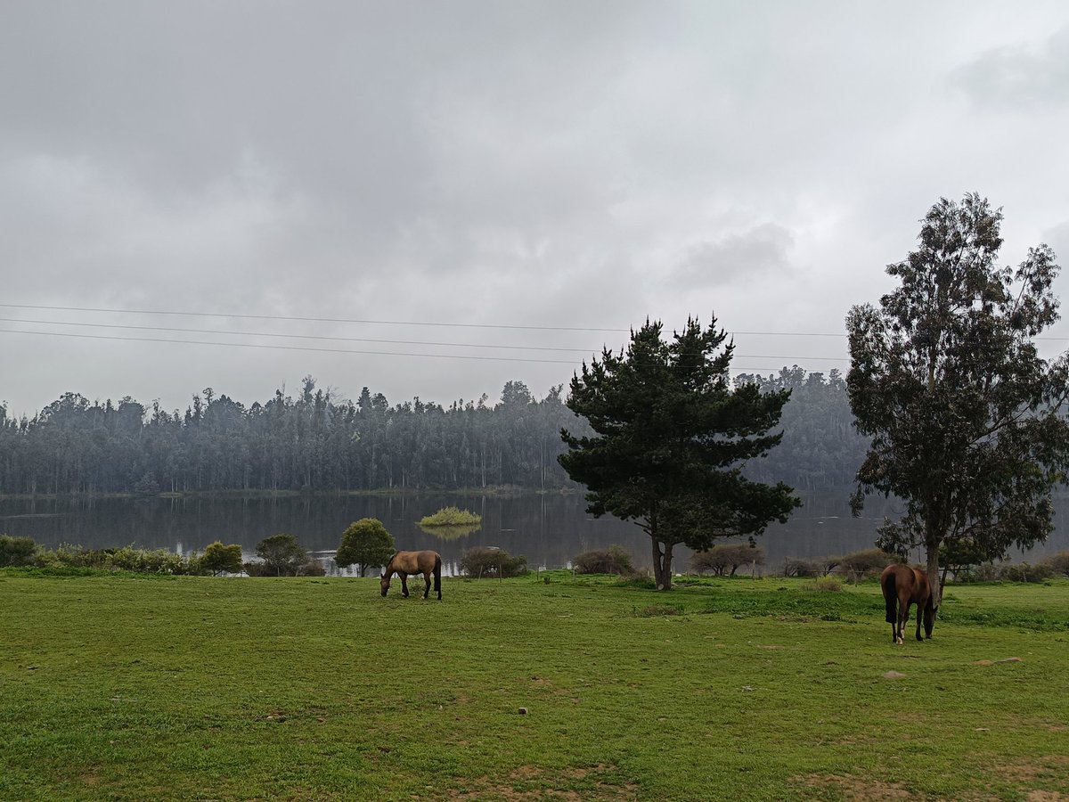 Me vine un ratito al sur...al sur de #Llolleo 😉 #SanJuan