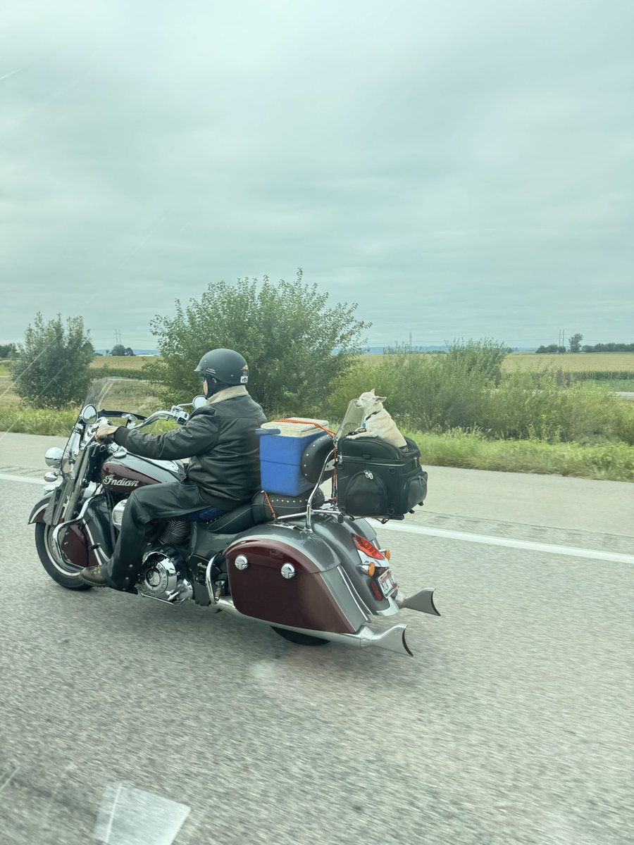 Everyone and their dog on the interstate headed to KC today. GBR