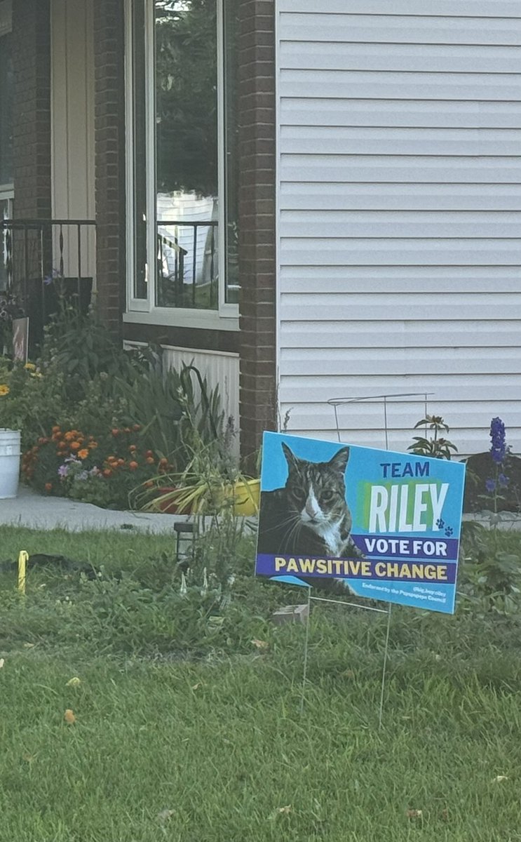 🚨CAMPAIGN UPDATE: I’m now in a heated turf war… with a cat. 🐱🪧

I get to see so many great things while campaigning. 😆 At this point, I may have to ask for Riley’s endorsement…