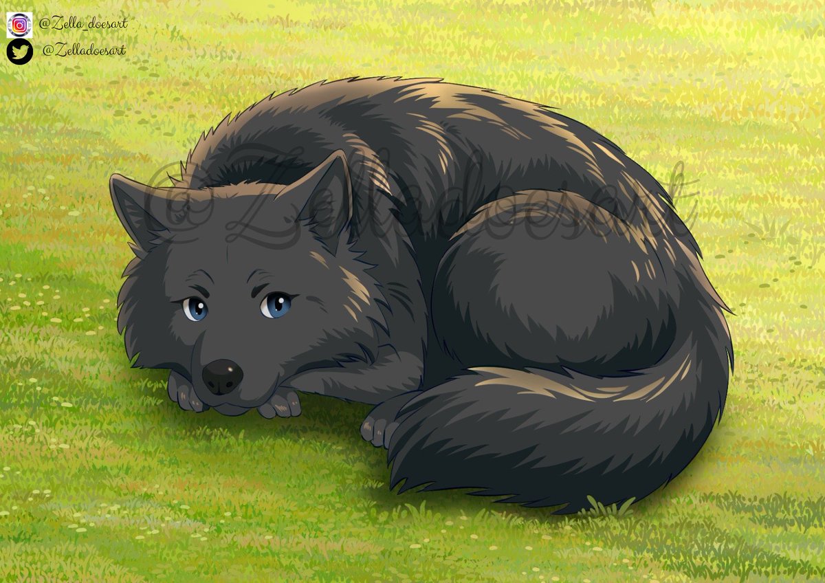 zelladoesart's tweet photo. Finished this cozy wolf piece! I loved playing with the lighting and fluff.
#digitalart #illustrationart #artwork #characterdesign #furryartist #furryartwork #ArtRT #smallartist #SupportArtists #ArtistOnX #pet #CommissionedArt #artshare #artmoot #Vtubers #commissionsopen https://t.co/yEtQw5SKA6